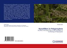 Nanofillers in Polyproylene kitap kapağı