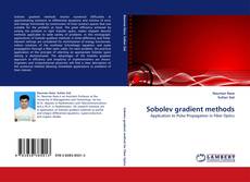Bookcover of Sobolev gradient methods