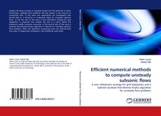 Buchcover von Efficient numerical methods to compute unsteady subsonic flows