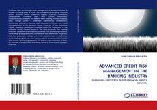 ADVANCED CREDIT RISK MANAGEMENT IN THE BANKING INDUSTRY kitap kapağı