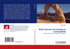 Capa do livro de Blast-induced rock damage in tunnels/drifts 