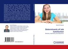Capa do livro de Determinants of Job Satisfaction 