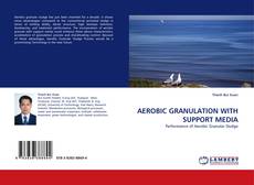 AEROBIC GRANULATION WITH SUPPORT MEDIA的封面
