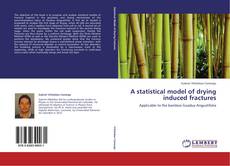 A statistical model of drying induced fractures kitap kapağı