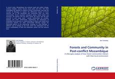 Forests and Community in Post-conflict Mozambique kitap kapağı