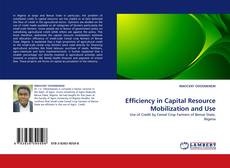 Couverture de Efficiency in Capital Resource Mobilization and Use