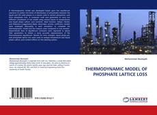 Bookcover of THERMODYNAMIC MODEL OF PHOSPHATE LATTICE LOSS