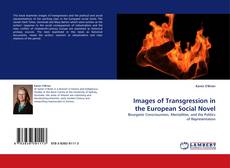 Images of Transgression in the European Social Novel的封面
