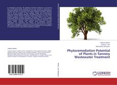 Bookcover of Phytoremediation Potential of Plants in Tannery Wastewater Treatment