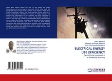 ELECTRICAL ENERGY USE EFFICIENCY的封面