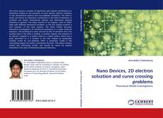 Nano Devices, 2D electron solvation and curve crossing problems kitap kapağı