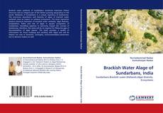 Brackish Water Alage of Sundarbans, India kitap kapağı