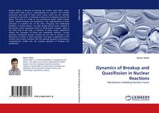 Dynamics of Breakup and Quasifission in Nuclear Reactions kitap kapağı