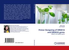 Bookcover of Primer Designing of DREB1A and DREB2A genes