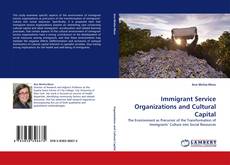 Capa do livro de Immigrant Service Organizations and Cultural Capital 