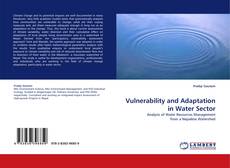 Vulnerability and Adaptation in Water Sector kitap kapağı