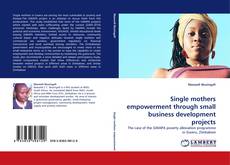 Buchcover von Single mothers empowerment through small business development projects