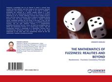 THE MATHEMATICS OF FUZZINESS: REALITIES AND BEYOND的封面