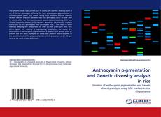 Bookcover of Anthocyanin pigmentation and Genetic diversity analysis in rice