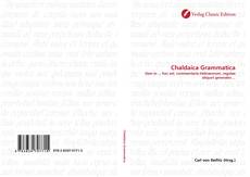 Capa do livro de Chaldaica Grammatica 