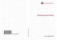 Buchcover von Rudimenta grammaticae