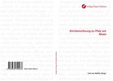 Capa do livro de Kirchenordnung zu Pfalz am Rhein 