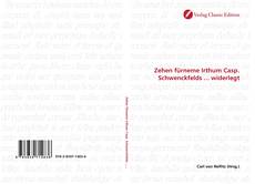 Portada del libro de Zehen fürneme Irthum Casp. Schwenckfelds ... widerlegt