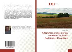 Adaptation du blé dur en condition de stress hydrique et thermique kitap kapağı