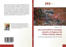 Les mammifères sauvages actuels et disparus de l’Atlas d’Azilal, Maroc kitap kapağı