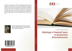 Bookcover of Abattage à l'explosif pour la production d'enrochements