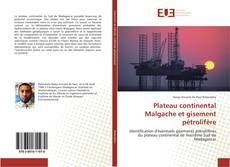 Plateau continental Malgache et gisement pétrolifère kitap kapağı