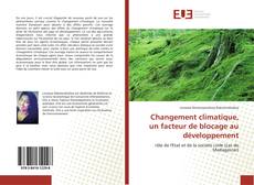 Changement climatique, un facteur de blocage au développement kitap kapağı