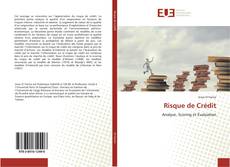 Bookcover of Risque de Crédit