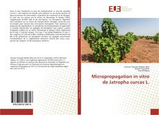 Copertina di Micropropagation in vitro de Jatropha curcas L.