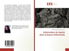 Portada del libro de Valorisation du lignite dans le bassin d'Antsirabe