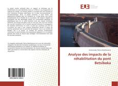 Обложка Analyse des impacts de la réhabilitation du pont Betsiboka