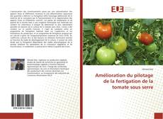 Capa do livro de Amélioration du pilotage de la fertigation de la tomate sous serre 