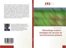 Bookcover of Décrochage scolaire - Stratégies de réussite en environnement précaire