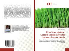 Portada del libro de Riziculture pluviale: Expérimentation avec les facteurs fumure /semis