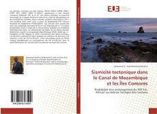 Capa do livro de Sismicité tectonique dans le Canal de Mozambique et les Îles Comores 