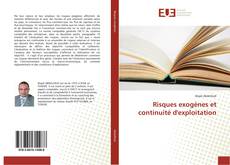 Capa do livro de Risques exogènes et continuité d'exploitation 