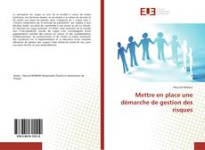Buchcover von Mettre en place une démarche de gestion des risques