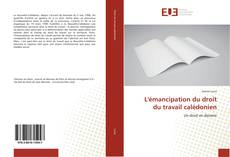 Bookcover of L'émancipation du droit du travail calédonien