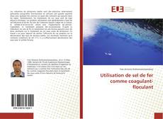 Bookcover of Utilisation de sel de fer comme coagulant-floculant