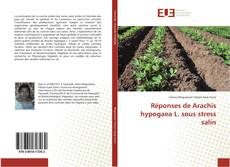 Обложка Réponses de Arachis hypogaea L. sous stress salin