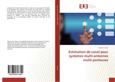 Bookcover of Estimation de canal pour systèmes multi-antennes multi-porteuses