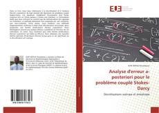 Capa do livro de Analyse d'erreur a-posteriori pour le problème couplé Stokes-Darcy 