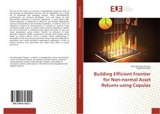 Capa do livro de Building Efficient Frontier for Non-normal Asset Returns using Copulas 