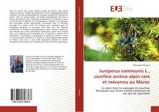 Juniperus communis L., conifère arctico-alpin rare et méconnu au Maroc kitap kapağı