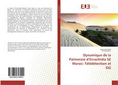 Copertina di Dynamique de la Palmeraie d’Errachidia SE Maroc: Télédétection et SIG